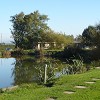 1 Acre Water View 3